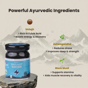 Powerful Ayurvedic Ingredients in Himalayan Power Plus Shilajit - Pavitra Enterprises